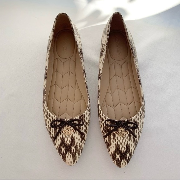 Coach Annabel Snakeskin Pointed Toe Ballet Flats - Picture 5 of 16